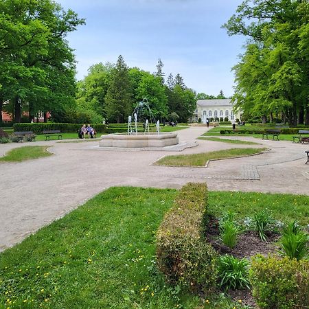 Villa Klara Cieplice Jelenia Góra Εξωτερικό φωτογραφία