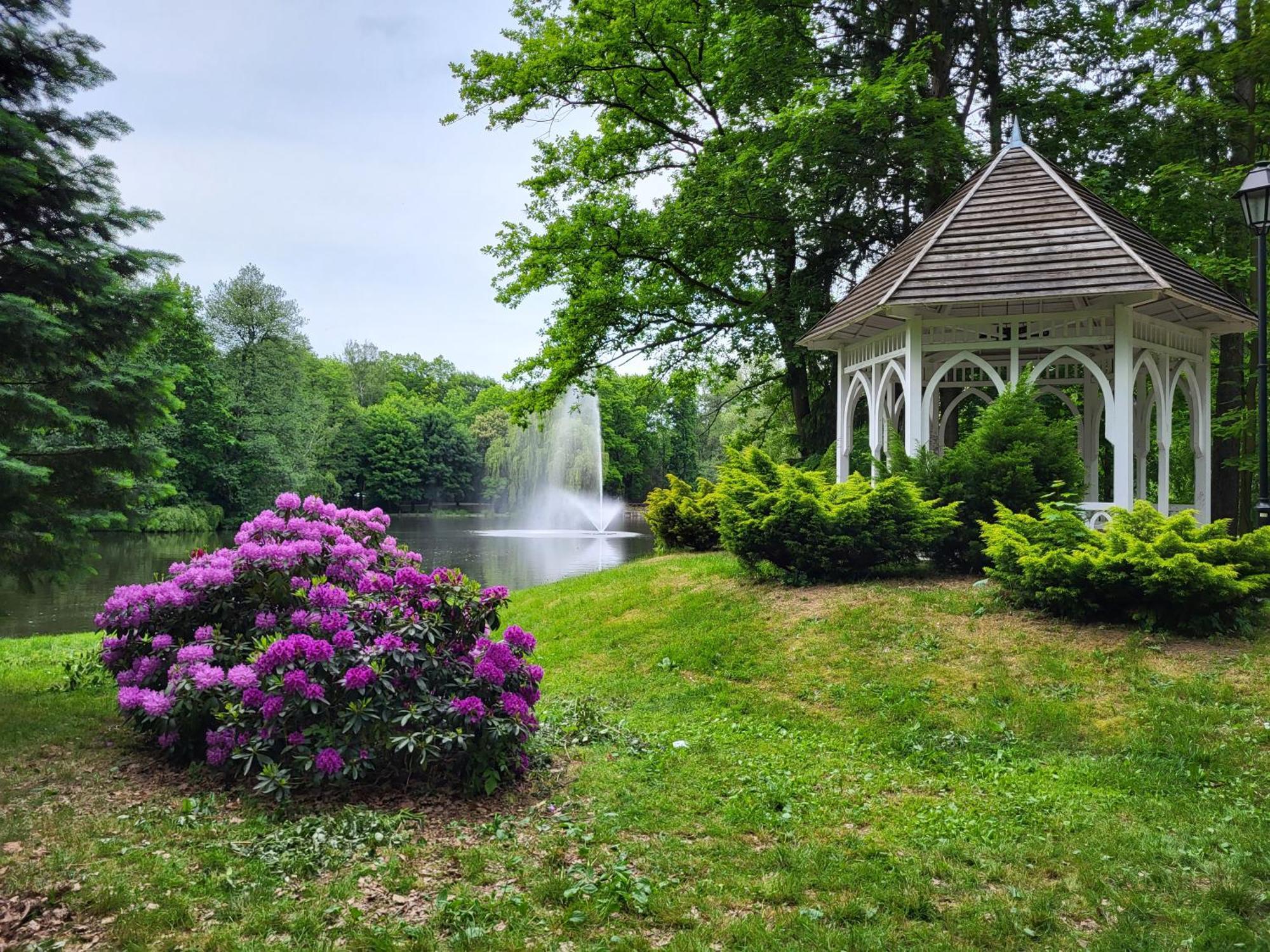 Villa Klara Cieplice Jelenia Góra Εξωτερικό φωτογραφία